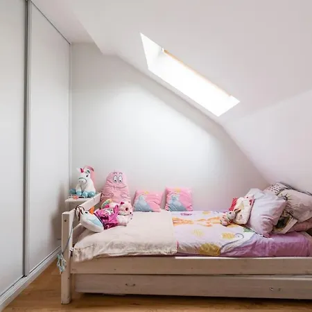 Appartement Haussmannien De Grand Luxe Paris